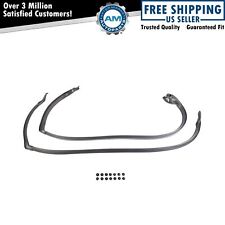 Roof Rail Weatherstrip Seal Pair For Chevy Oldsmobile Pontiac Hard Top New