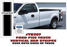 Tr307 Ford Truck F-150 - Bed Stripe With Pinstripes - Ford Name - Decal