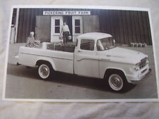 1959 Dodge Pickup Truck  D100 11 X 17 Photo Picture