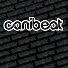 Canibeat Jdm Die Cut Vinyl Decal Click To Explore More Size Options