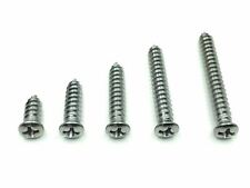 100 Pcs 10 With 6 Phillips Oval Head Chrome Trim Screws Fits Ford Mercury