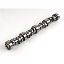 Elgin Camshaft E-1251-p Ls Hot Cam .523.524 Hydraulic Roller For Chevy Ls