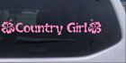 Country Girl With Hibiscus Flowers Car Truck Window Decal Sticker Pink 10x1.8