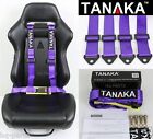 1 Tanaka Universal Purple 4 Point Buckle Racing Seat Belt Harness