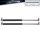 Liftgate Hatch Lift Supports Shock Struts Springs Fits 99-04 Jeep Grand Cherokee